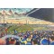 Plough Lane Stadium Art Ceramic Mug - AFC Wimbledon